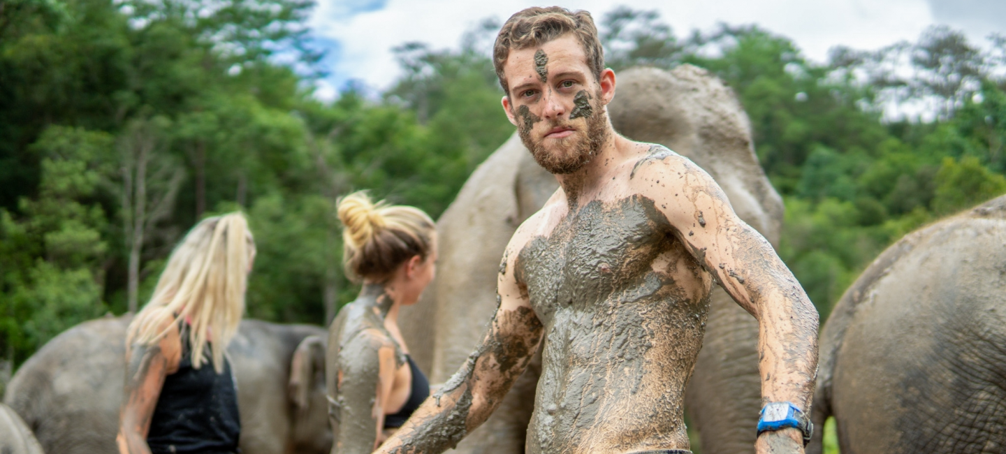 Into The Wild Elephant Camp Elephant Camp Chiangmai Elephant Tour Chiangmai